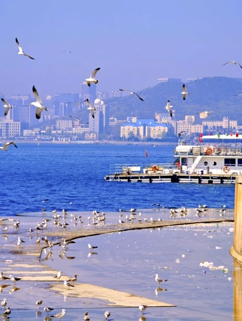 중국 여행 다롄 중국 여행 다롄